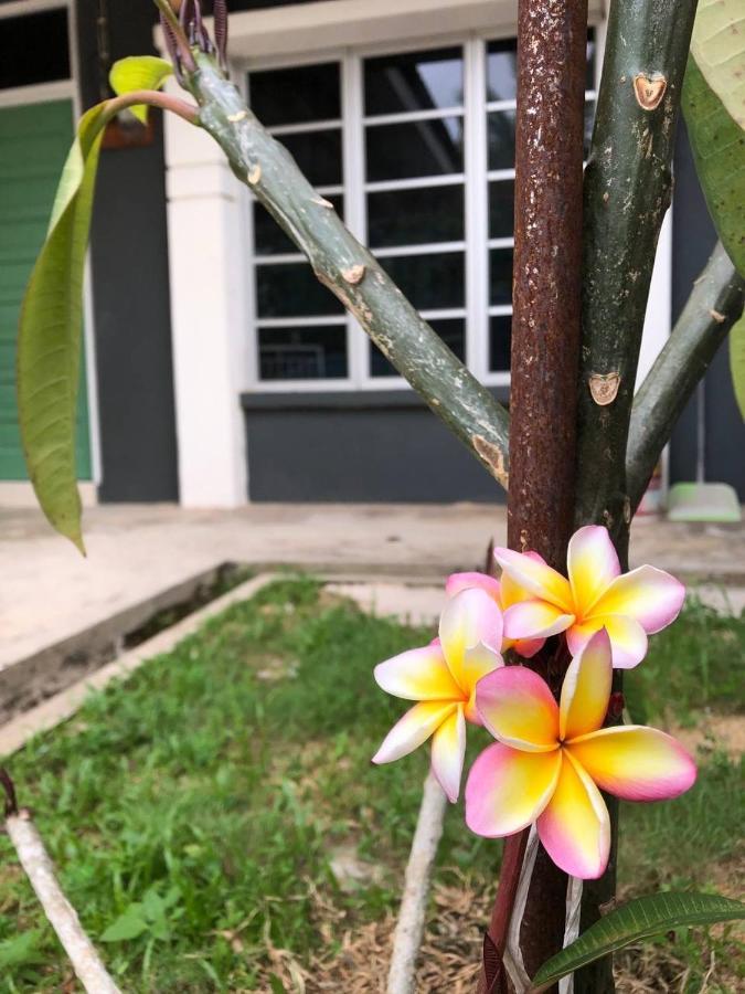 Lungo Guesthouse Kuala Terengganu Buitenkant foto